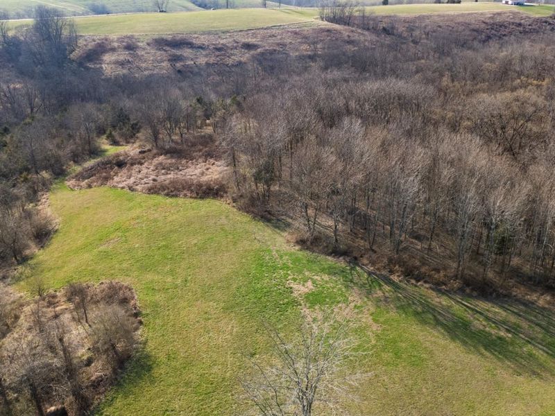 180 Bridle Court, Dry Ridge, KY 41035 Photo 17