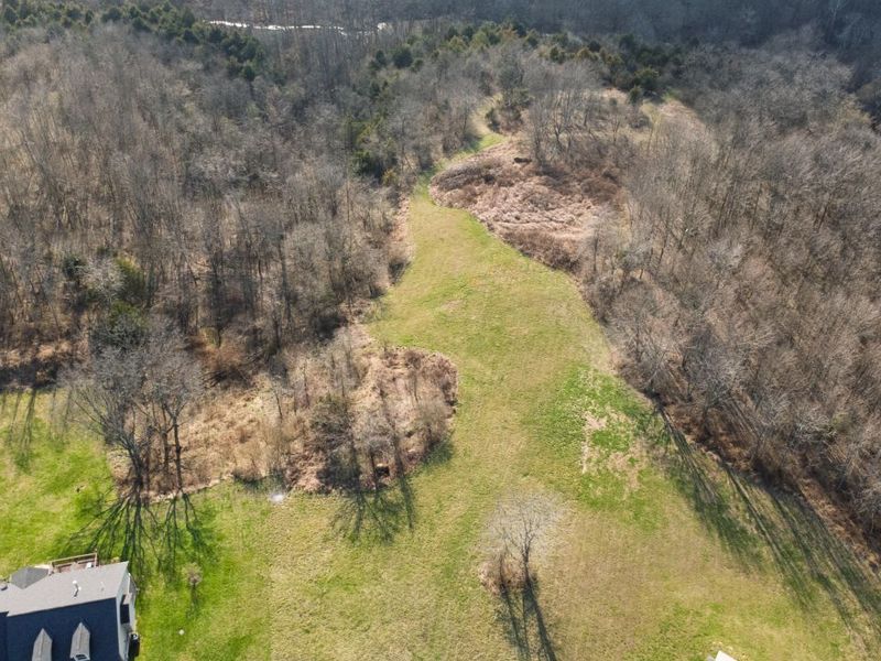 180 Bridle Court, Dry Ridge, KY 41035 Photo 3