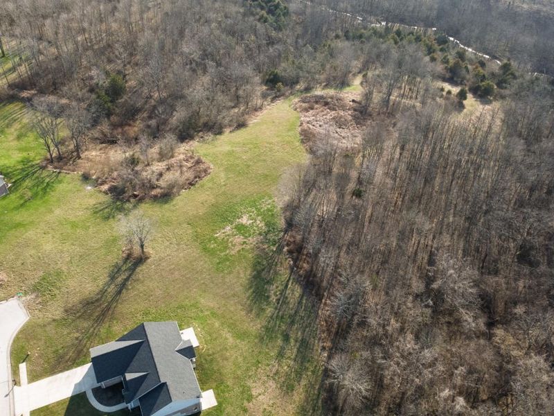 180 Bridle Court, Dry Ridge, KY 41035 Photo 4