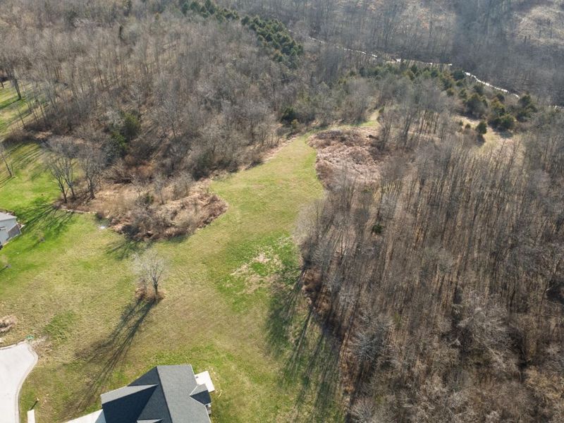 180 Bridle Court, Dry Ridge, KY 41035 Photo 5