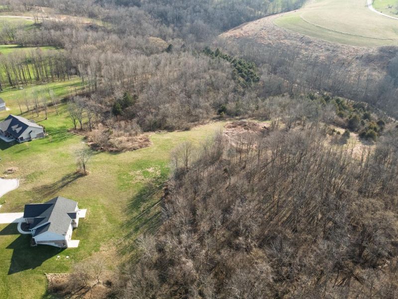 180 Bridle Court, Dry Ridge, KY 41035 Photo 6