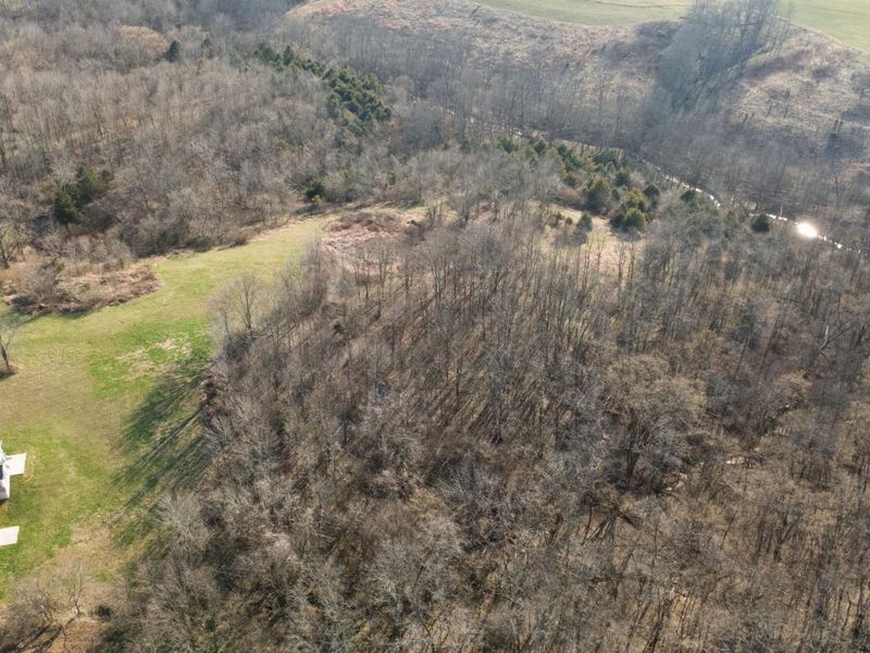 180 Bridle Court, Dry Ridge, KY 41035 Photo 7