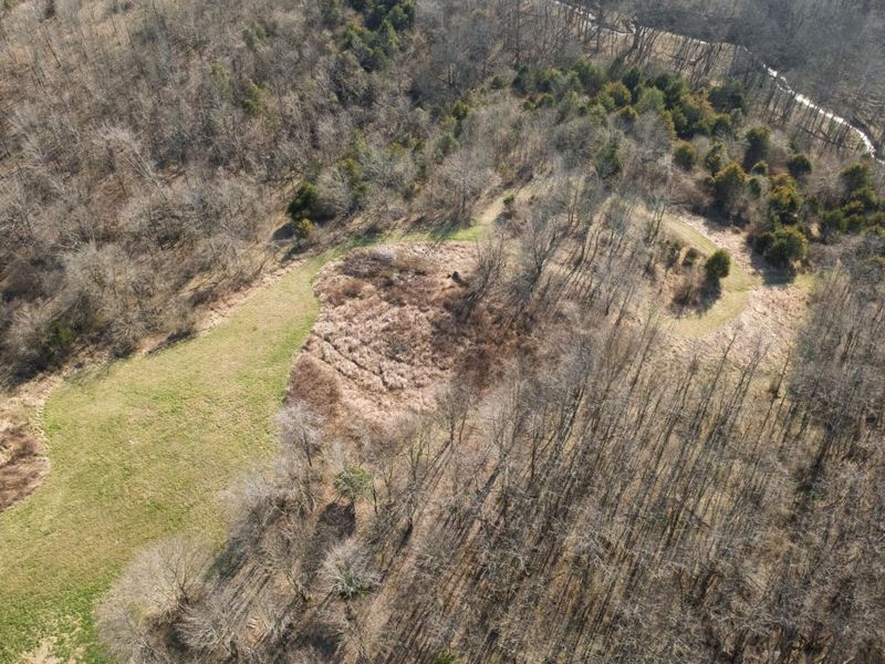 180 Bridle Court, Dry Ridge, KY 41035 Photo 8