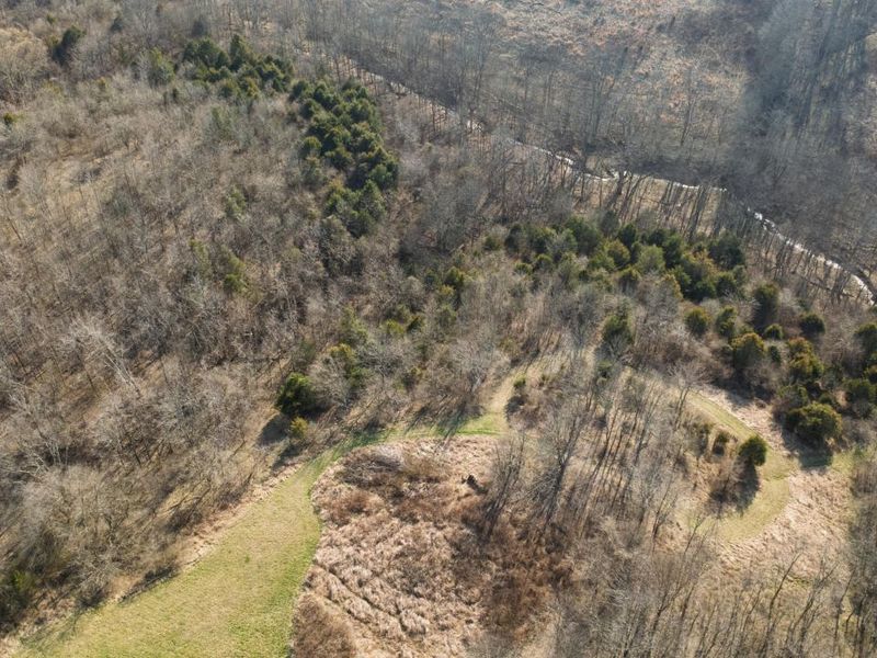 180 Bridle Court, Dry Ridge, KY 41035 Photo 9