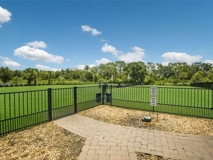 Property Image 77