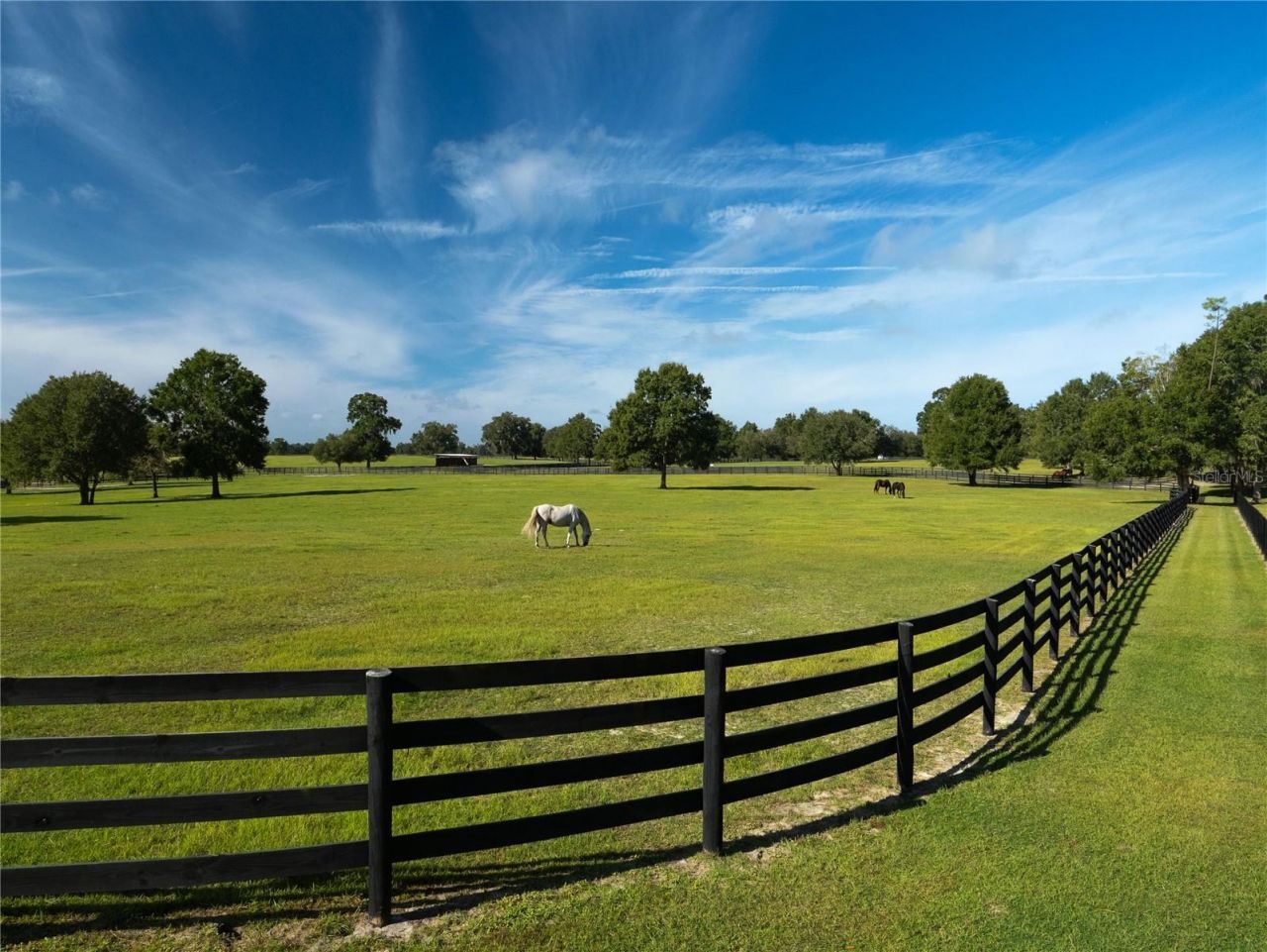 2875 NW 150 Avenue, Ocala, FL 34482 Photo