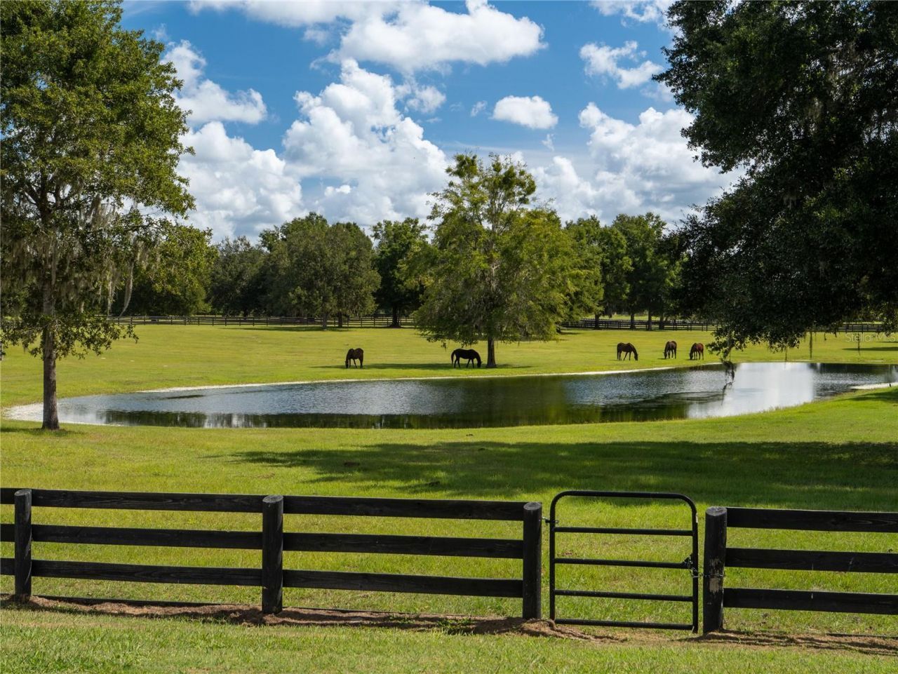 2875 NW 150 Avenue, Ocala, FL 34482 Photo