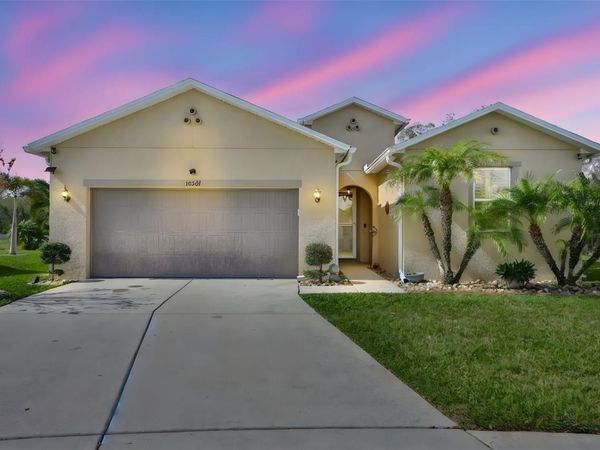 10567 LAGUNA PLAINS DRIVE , RIVERVIEW, FL 33578