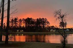 546 Marsh Cove Circle photo 4