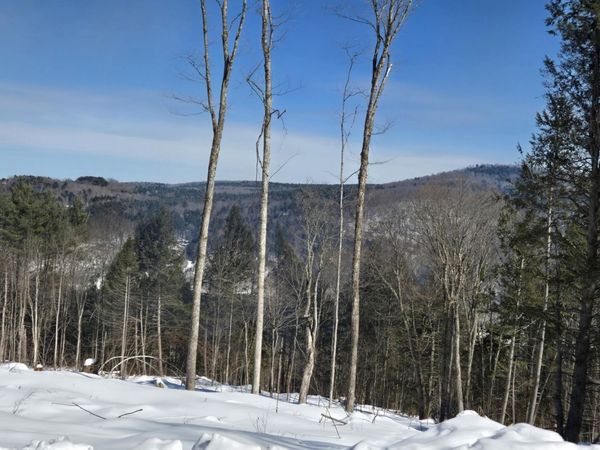 00 VT Rte 12 Lot 1-2 Highway, Barnard, VT 05031