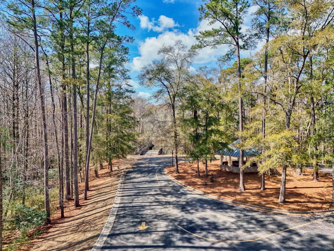 6 Caleb Ct. Photo 56