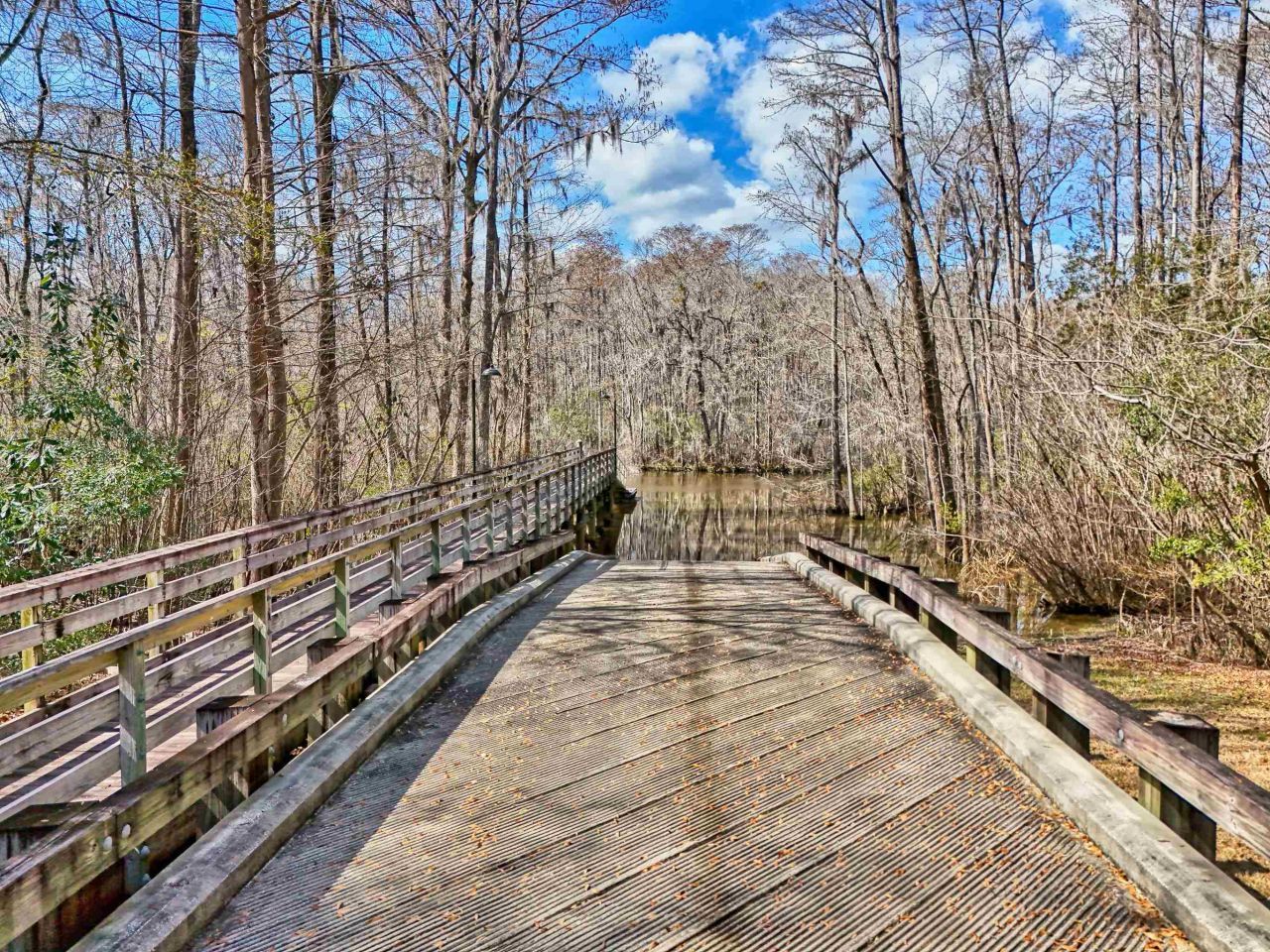 6 Caleb Ct. Photo 58