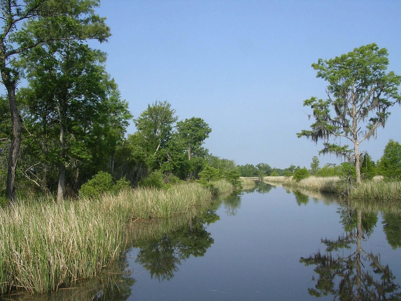 6 Caleb Ct. Photo 60