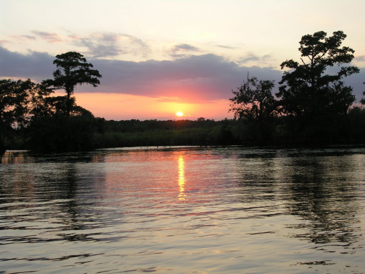 6 Caleb Ct. Photo 62