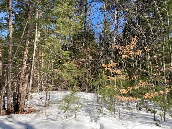 0 Henderson Road, Unit Map 272/Lot 42, Conway, NH 03818