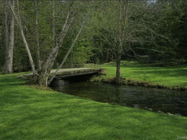 698 Cooley Road, Parksville, NY 12768