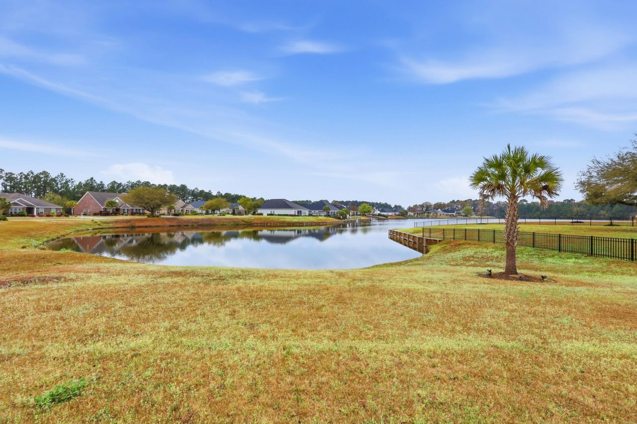 1007 Glossy Ibis Dr. Photo 24