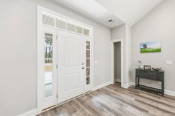 1007 Glossy Ibis Dr. photo 4