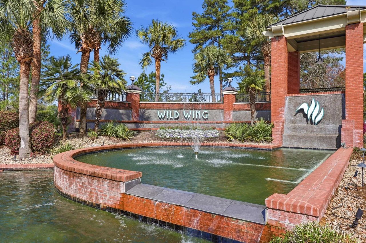 1007 Glossy Ibis Dr. Photo 31