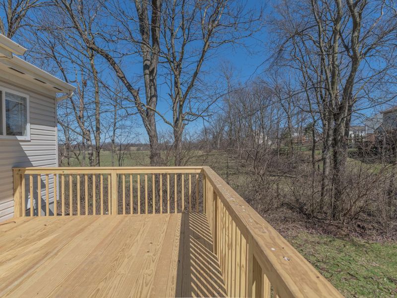 6 Trotters Way, Florence, KY 41042 Photo 45