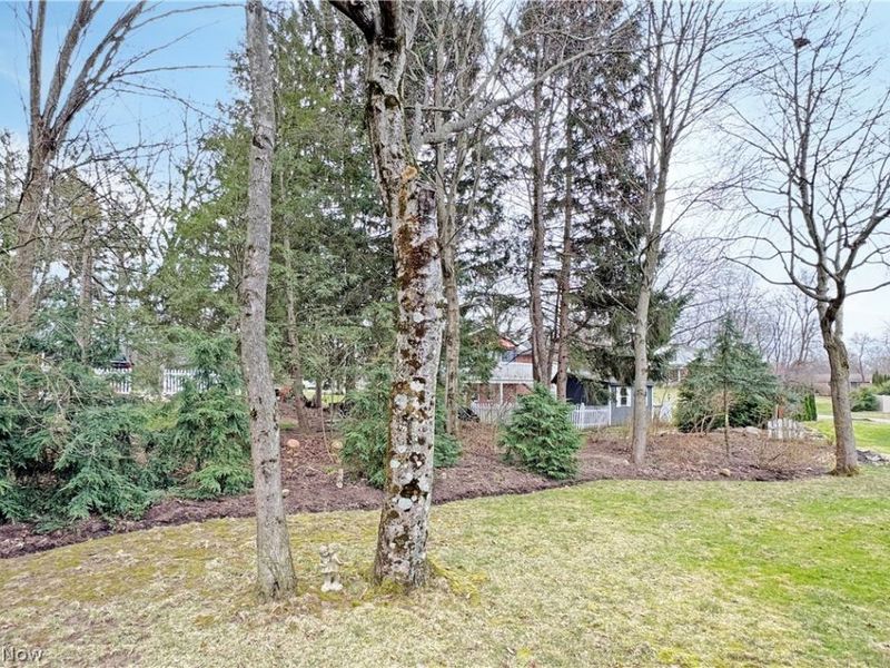 8218 Audubon Street NW, Massillon, OH 44646 Photo 47