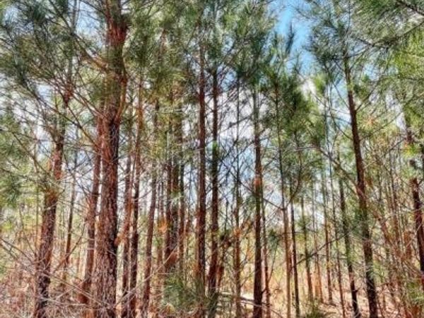 0 Brinkley Road, Barnesville, GA 30204