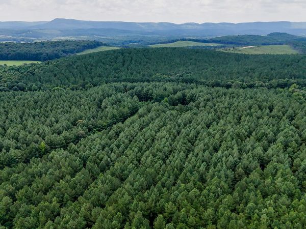 TRACT 5 Back Valley Road, Lyerly, GA 30730