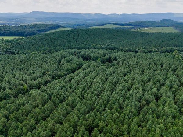 0 Tract 5 Back Valley Road, Lyerly, GA 30730