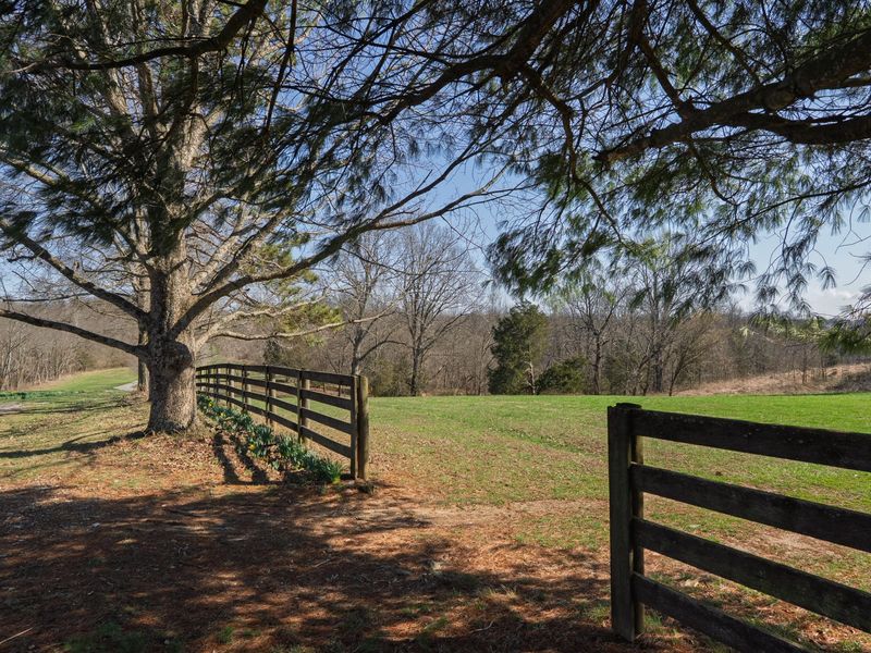 11213 E Bend Road, Union, KY 41091 Photo 44