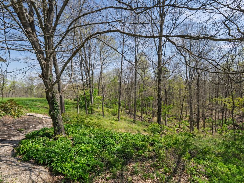 11213 E Bend Road, Union, KY 41091 Photo 45