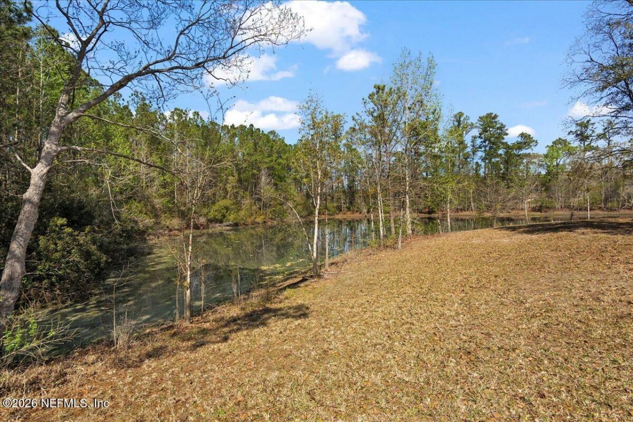 10545 S Flora Springs Road, Jacksonville, FL 32219 Photo