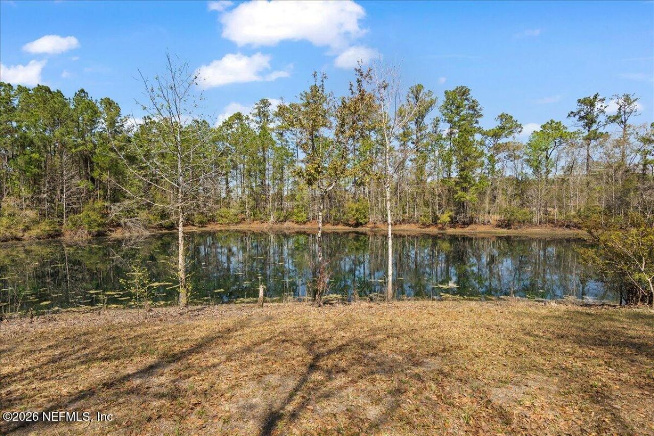 10545 S Flora Springs Road, Jacksonville, FL 32219 Photo
