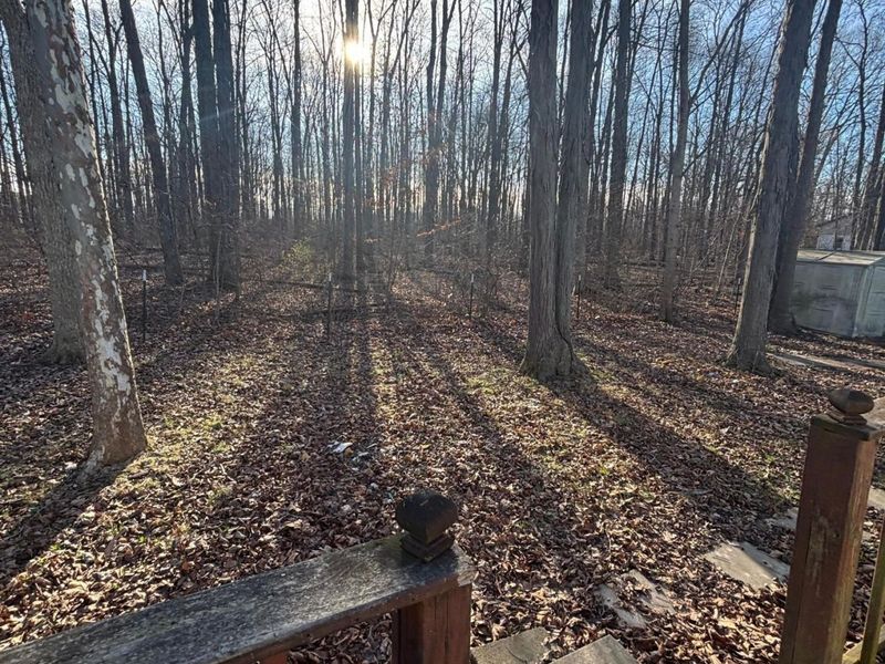 3919 Township Road 144, Cardington, OH 43315 Photo 22