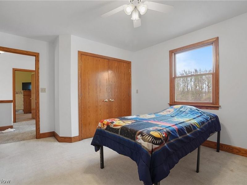 3670 Grafton Road, Leetonia, OH 44431 Photo 22