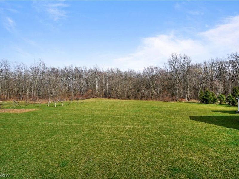 3670 Grafton Road, Leetonia, OH 44431 Photo 42