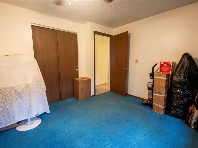 871 S County Line Road, Geneva, OH 44041 Photo 19