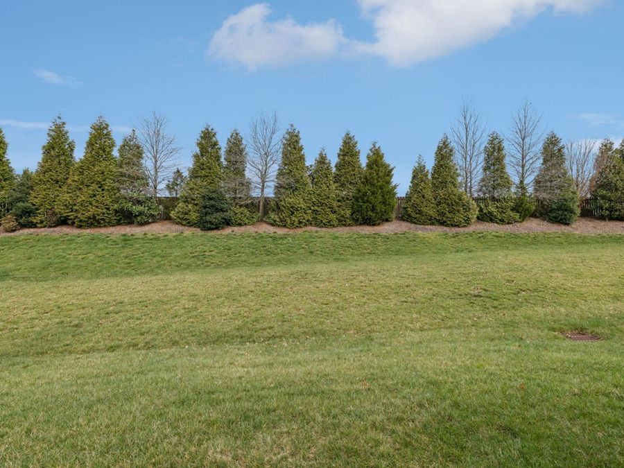Property Image 81