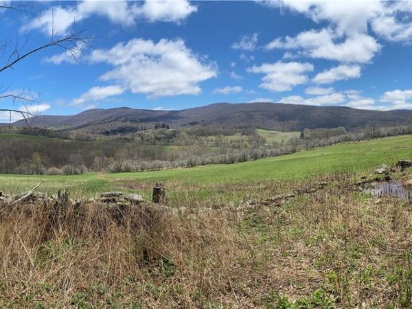 535 Babbling Brook Road , Bovina Center, NY 13740