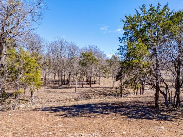 125 Milton Creek Ranch Road, Liberty Hill, TX 78642