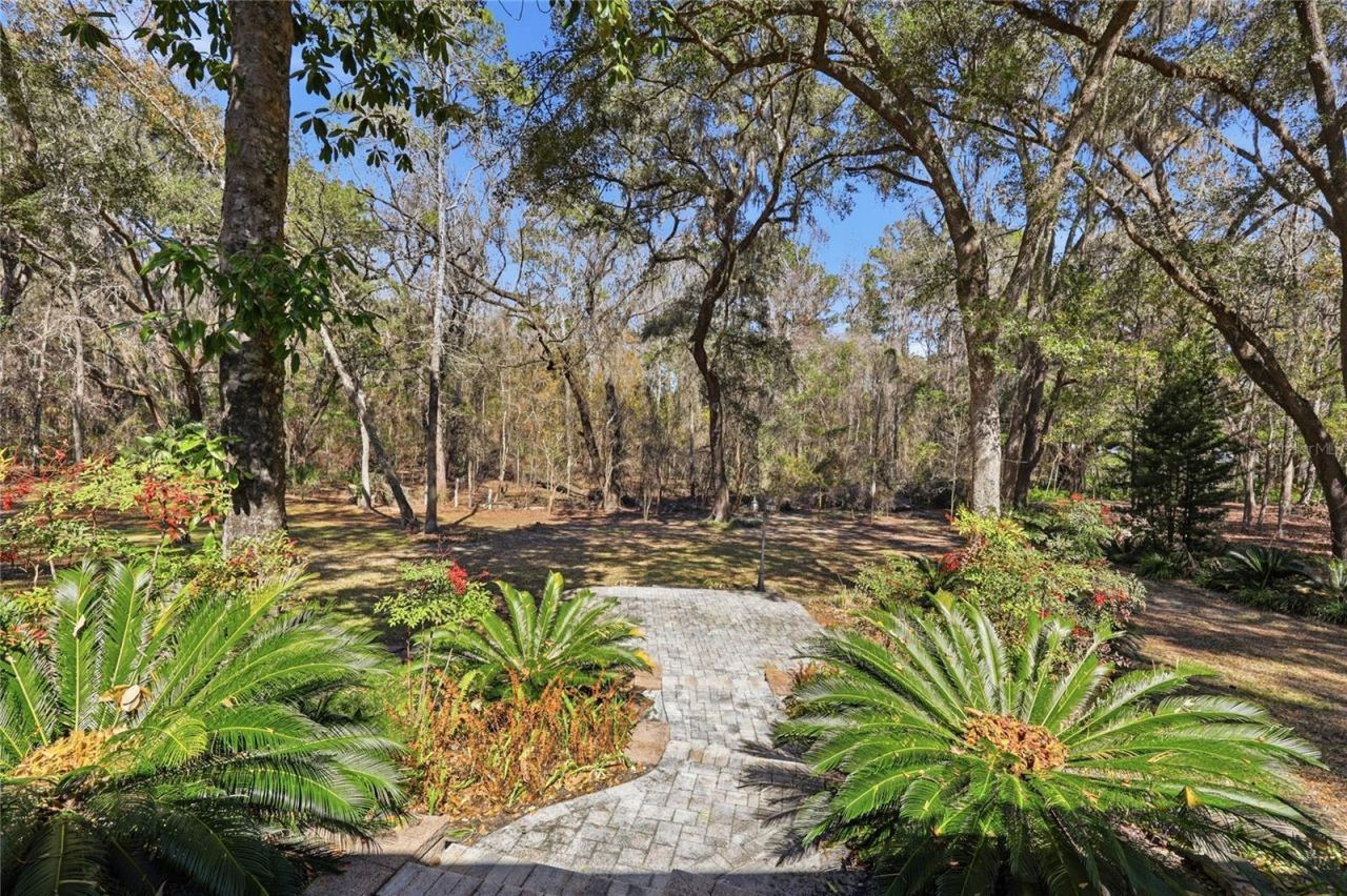 10320 SW 17th Place , Gainesville, FL 32607 Photo