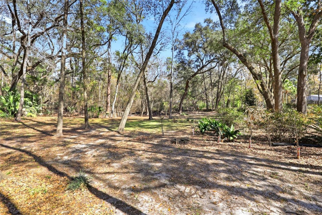 10320 SW 17th Place , Gainesville, FL 32607 Photo