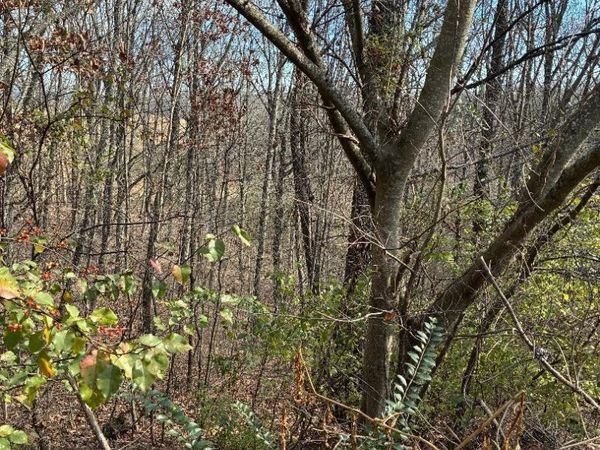 00 Poplar Drive Lot 31, Sweetwater, TN 37874