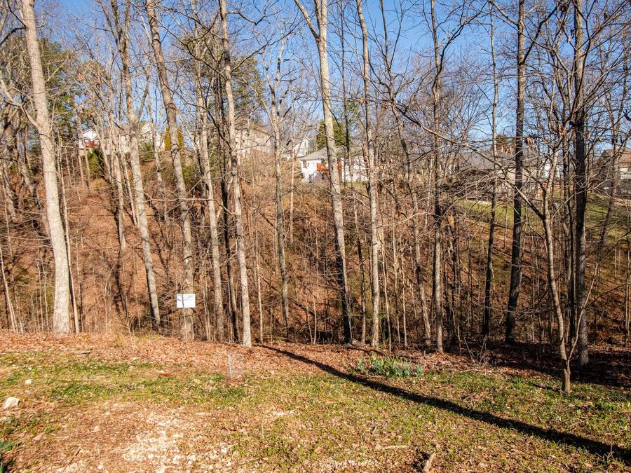 Property Image 52