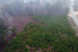 260 N Bultman Drive  photo 4