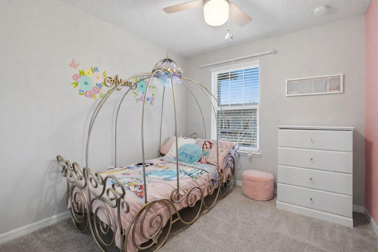 2120 Gopher Tortoise Terrace, Oakland, FL 34787 Photo