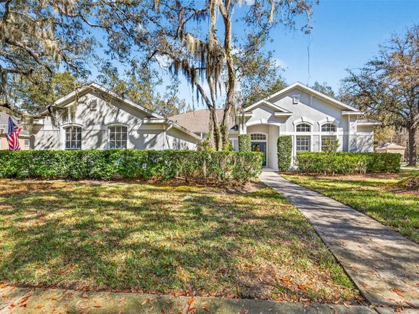 15036 EAGLERISE DRIVE , LITHIA, FL 33547