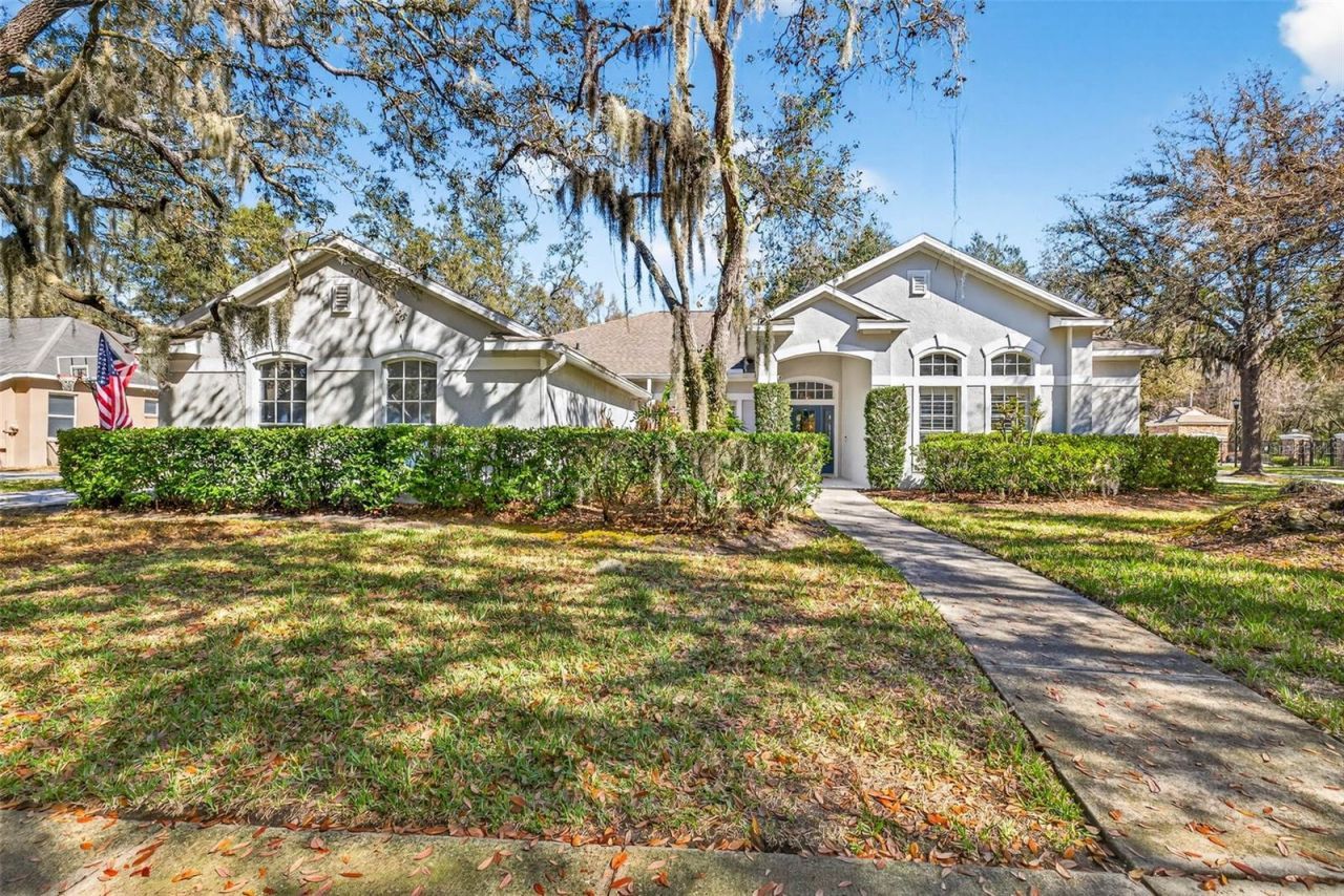 15036 Eaglerise Drive, Lithia, FL 33547 Main Photo