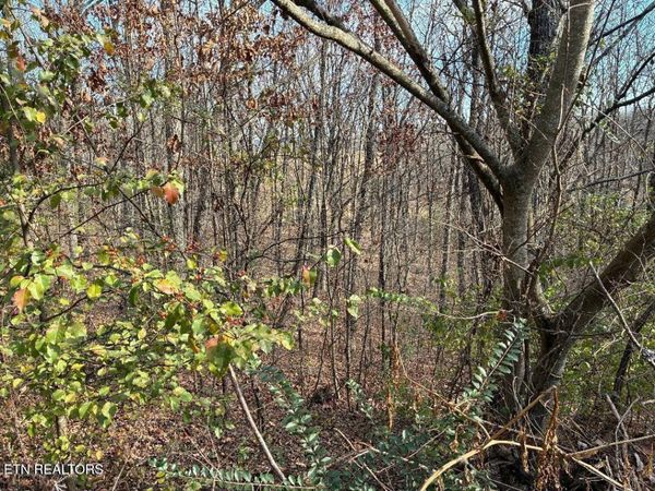 00 Poplar Drive Lot 31 , Sweetwater, TN 37874