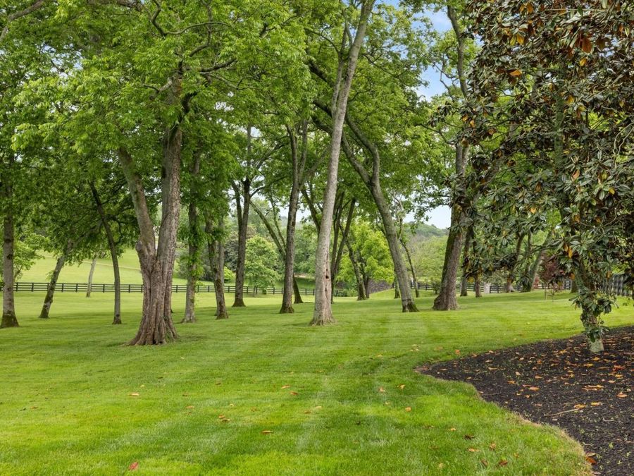 Property Image 68