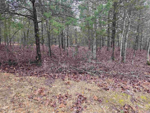 L-86,87 B-2 Gettysburg Drive , Cherokee Village, AR 72529